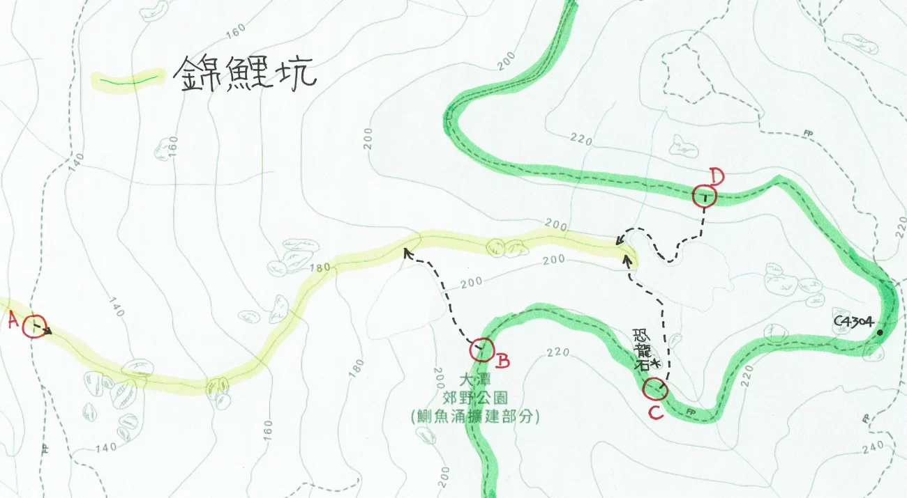 錦鯉坑
