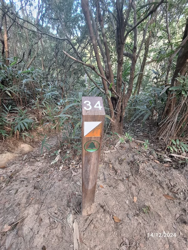 34