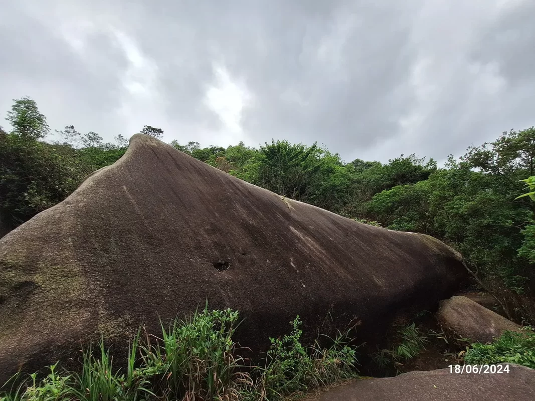 魚翅石